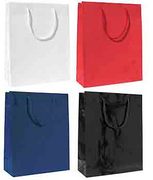 Rope Handle Paper Gift Bags_order guide.jpg